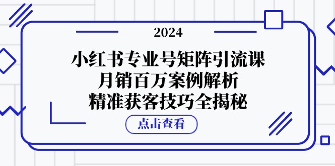 小红书专业号矩阵引流课，月销百万案例解析，精准获客技巧全揭秘-资源V站