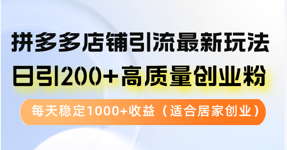 拼多多店铺引流最新玩法，日引200+高质量创业粉，每天稳定1000+收益（…-资源V站