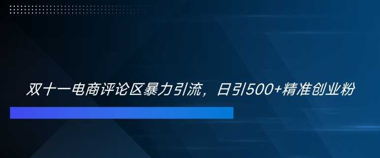 双十一电商评论区暴力引流，日引500+精准创业粉【揭秘】-资源V站