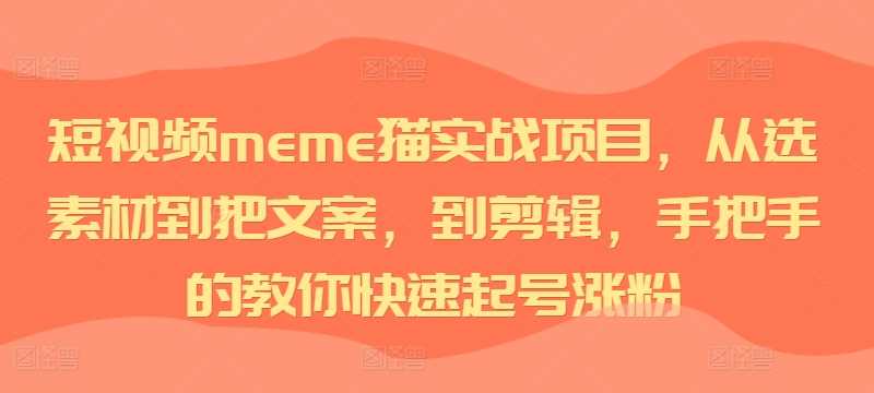 短视频meme猫实战项目，从选素材到把文案，到剪辑，手把手的教你快速起号涨粉-资源V站