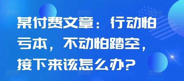 某付费文章：行动怕亏本，不动怕踏空，接下来该怎么办?-资源V站