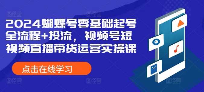 2024蝴蝶号零基础起号全流程+投流，视频号短视频直播带货运营实操课-资源V站