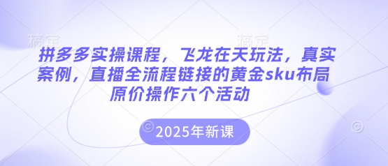 拼多多实操课程，飞龙在天玩法，真实案例，直播全流程链接的黄金sku布局原价操作六个活动-小哥网