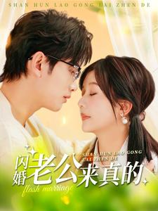 闪婚老公来真的（100集）-资源V站