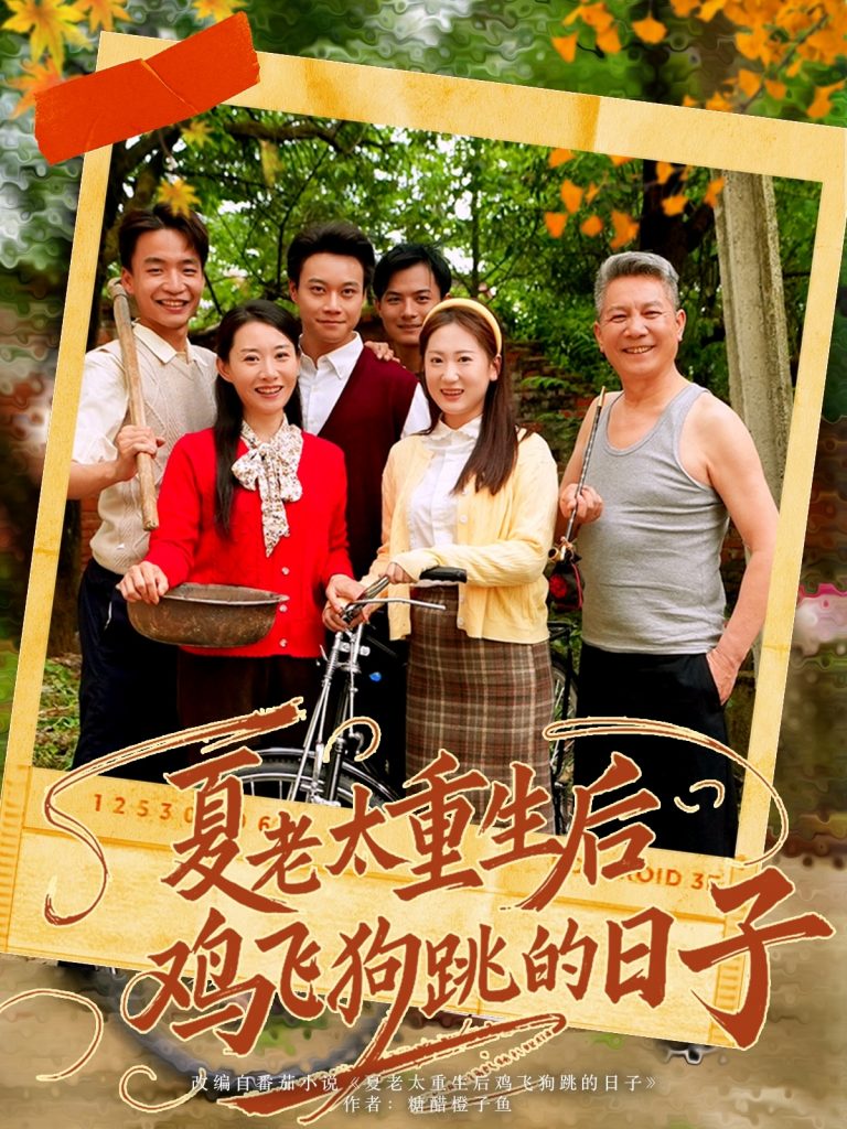 图片[1]-夏老太重生后鸡飞狗跳的日子（70集）-资源V站