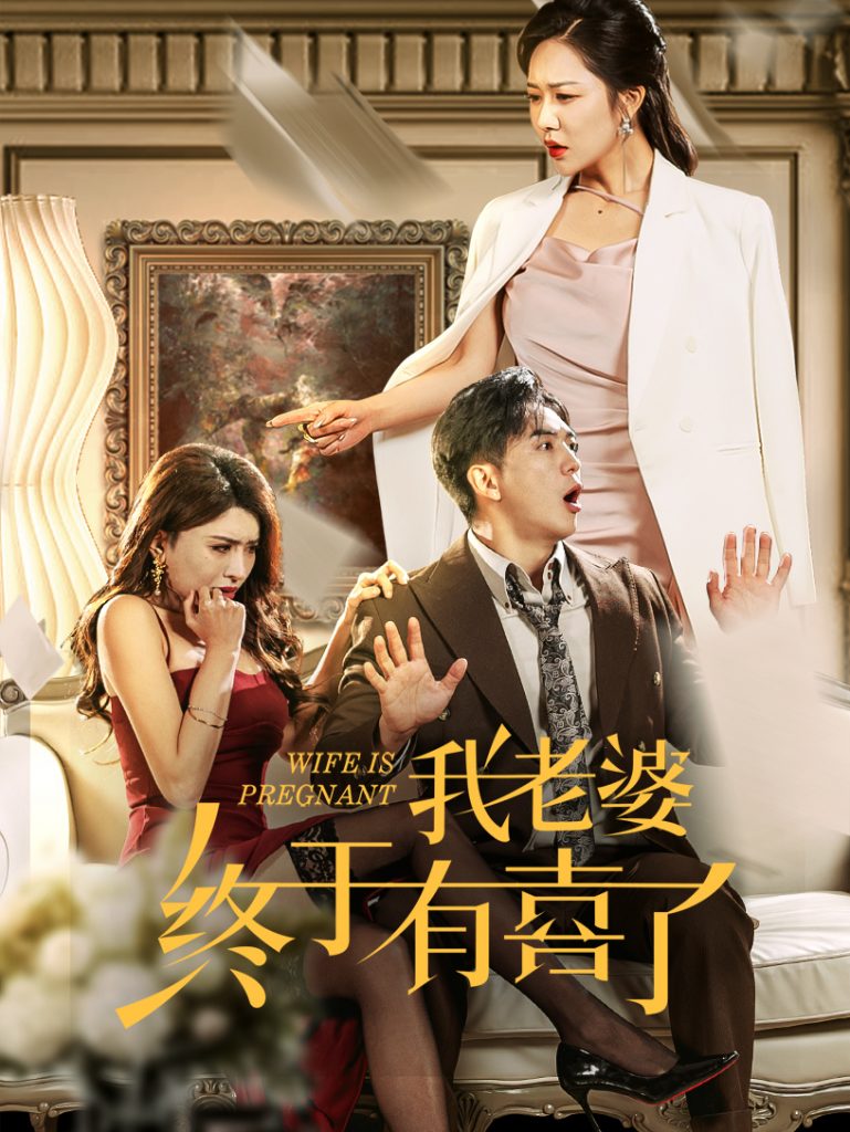 我老婆终于有喜了（40集）钟莹玲-资源V站