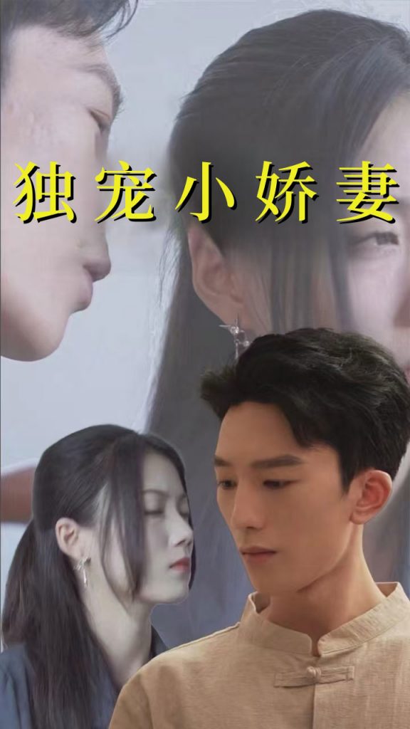 图片[1]-独宠小娇妻（101集）-资源V站