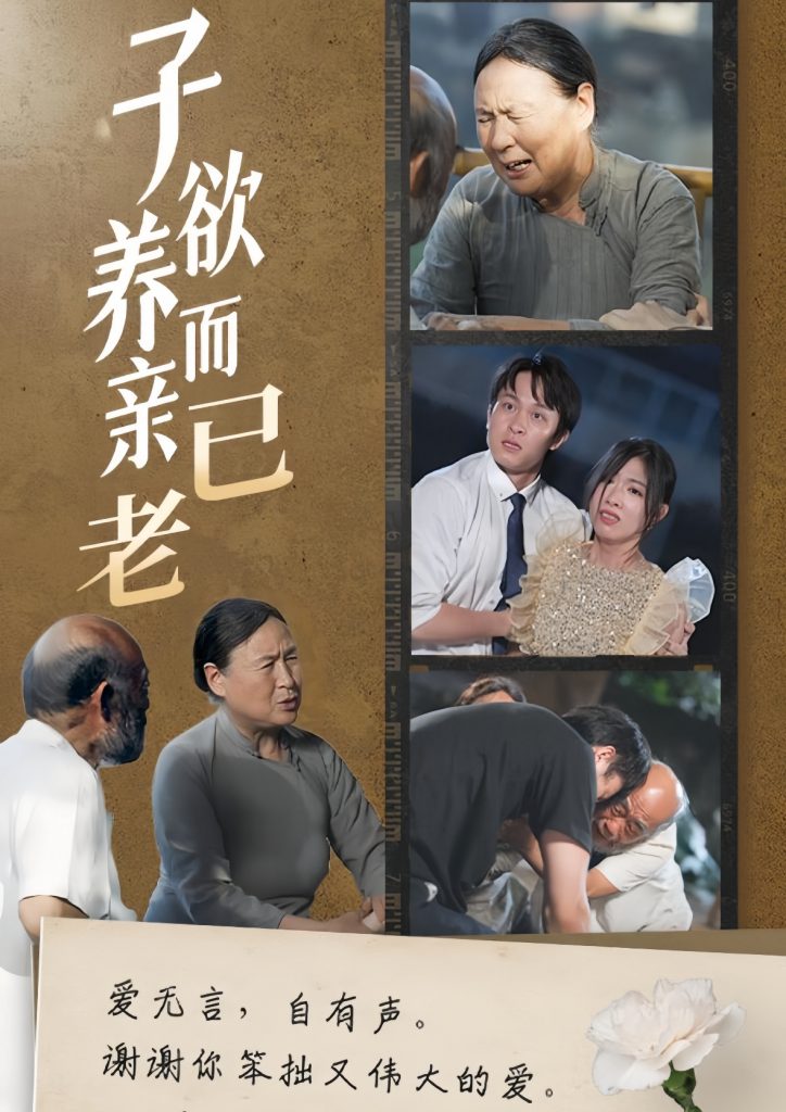 图片[1]-子欲养而亲已老（58集）-资源V站