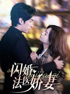 闪婚法医娇妻（92集）-资源V站