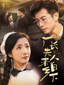 厂长夫人来自乡下（60集）-资源V站
