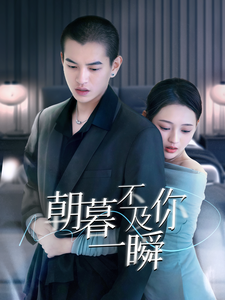 朝暮不及你一瞬（70集）-资源V站