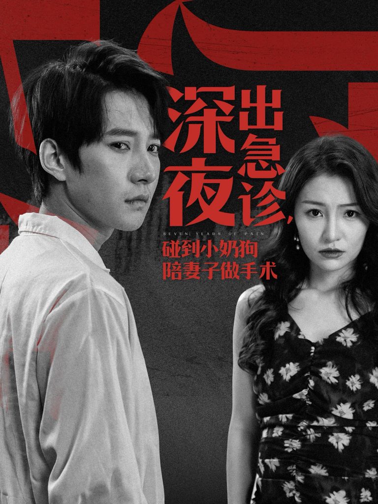深夜出急诊碰到小奶狗陪妻子做手术（50集）白羽-资源V站