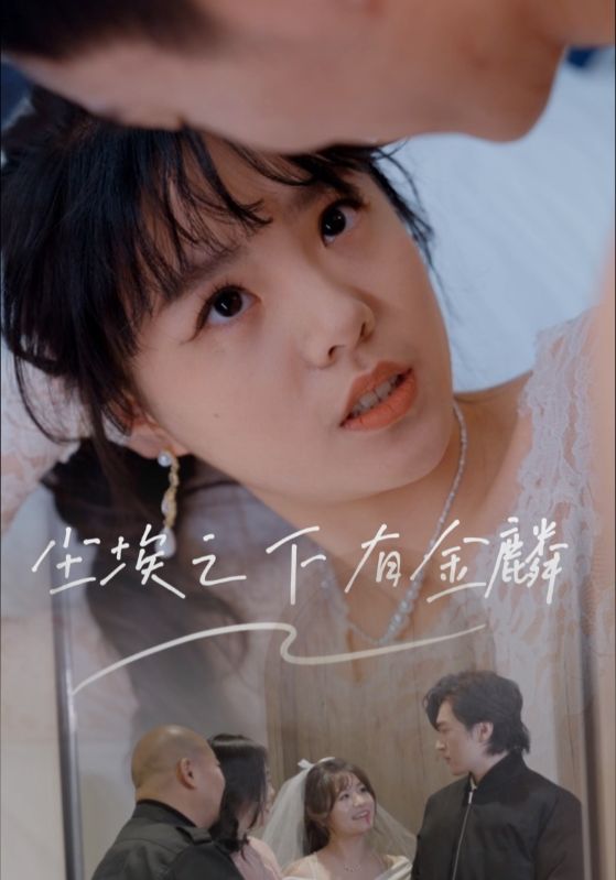 图片[1]-尘埃之下有金鳞（60集）汪晓彤-资源V站