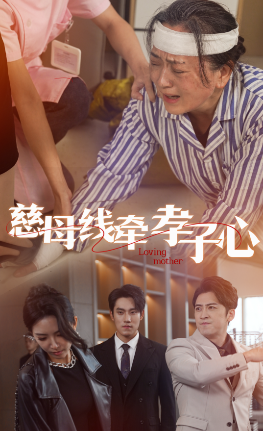 图片[1]-慈母线牵孝子心（60集）-资源V站