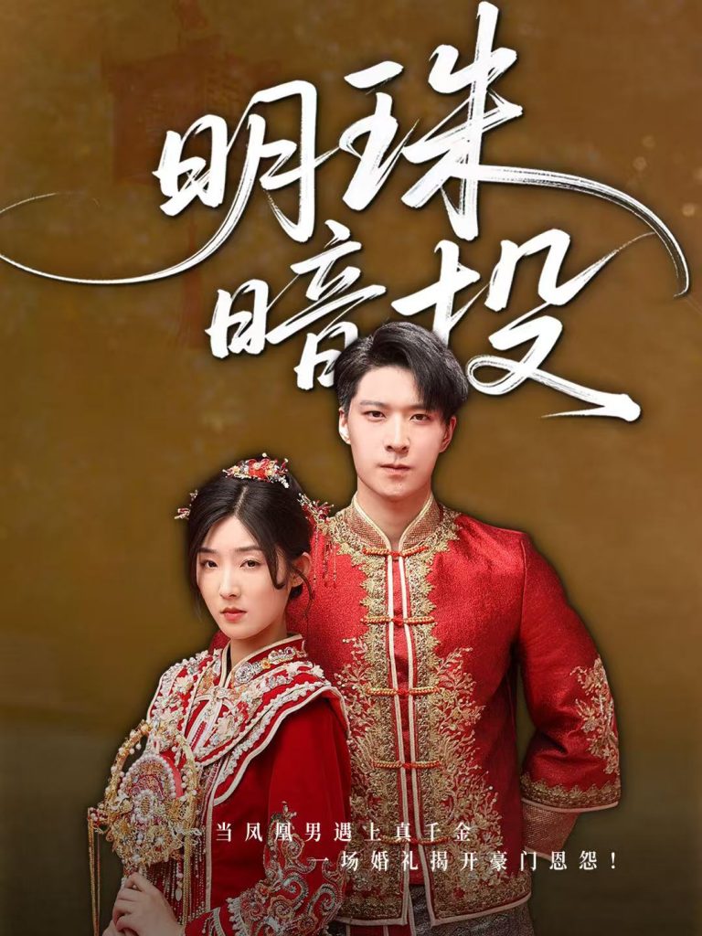 38.明珠暗投（60集）牛静婕-资源V站