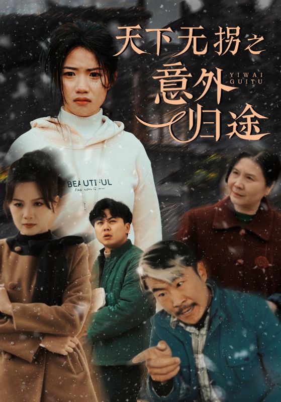天下无拐之意外归途（61集）高洁慧-资源V站