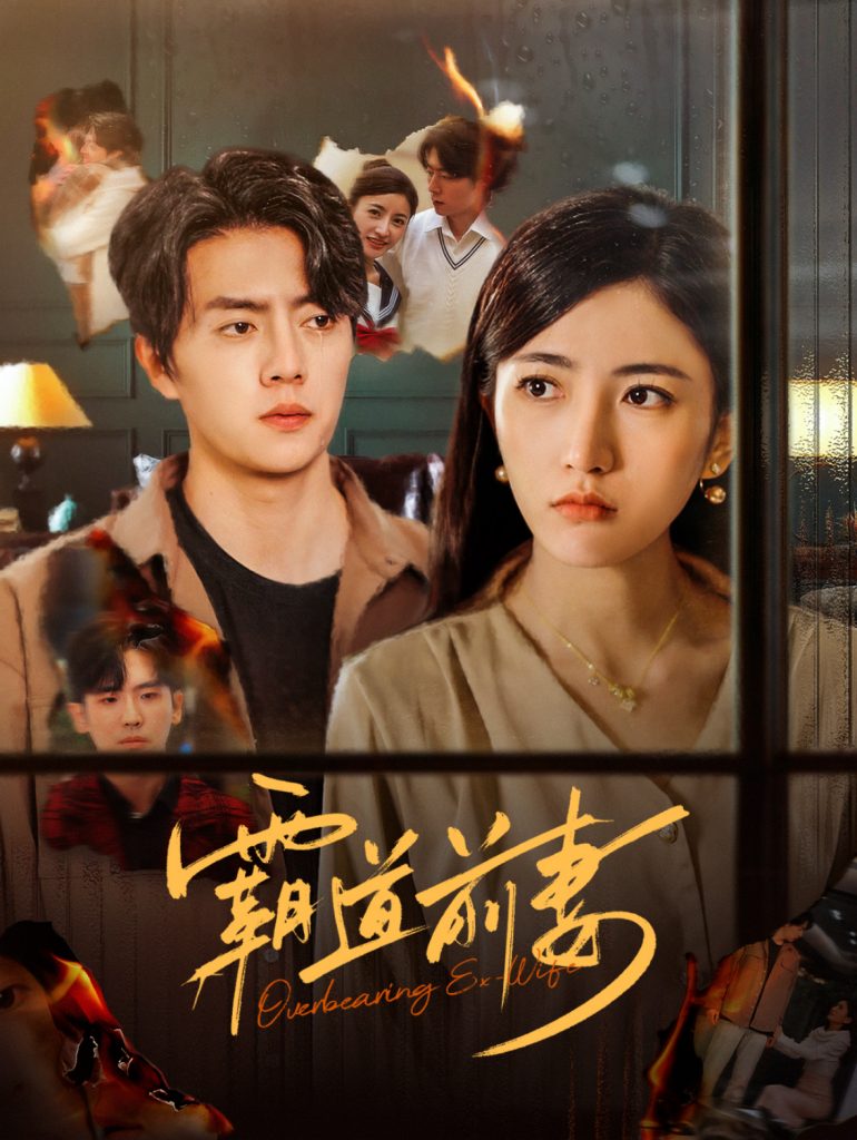图片[1]-霸道前妻（34集）张磊-资源V站