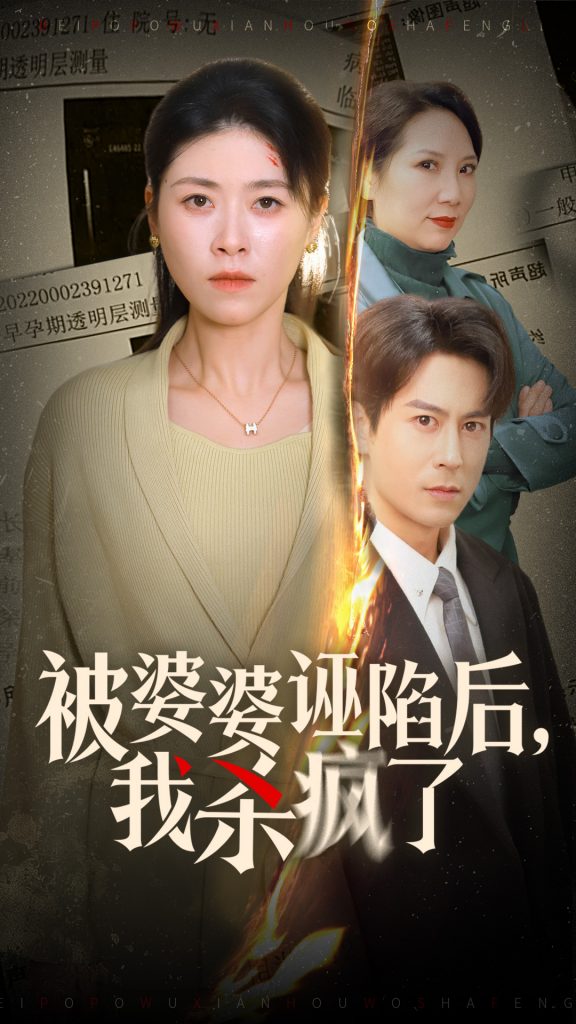 图片[1]-被婆婆诬陷后我杀疯了（30集）诸玲颖-资源V站