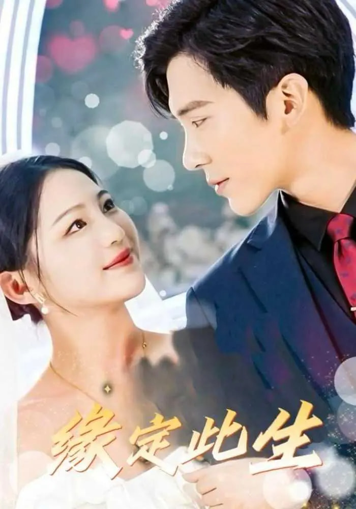 图片[1]-缘定此生（87集）崔秀子&冯思源-资源V站