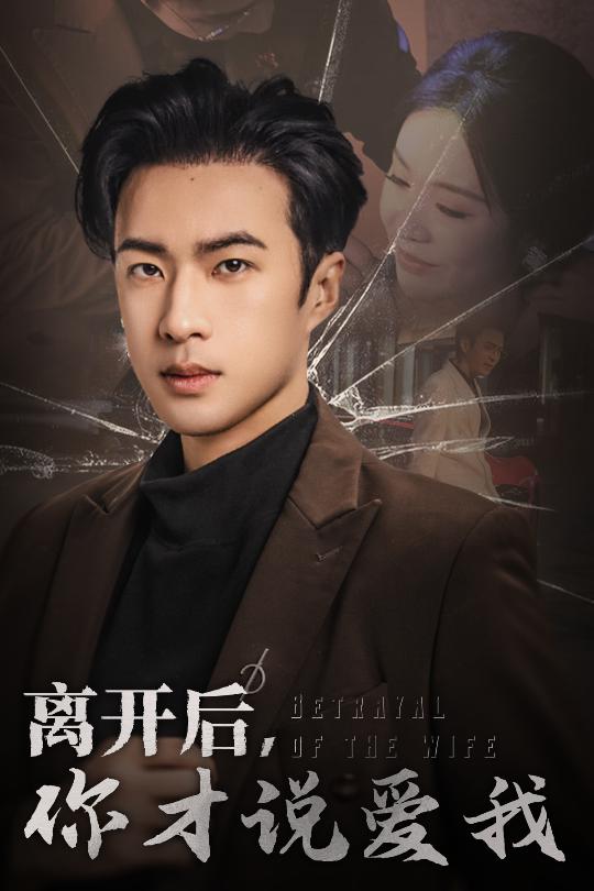图片[1]-离开后你才说爱我&心如枯木难逢春（30集）孔奇力-资源V站
