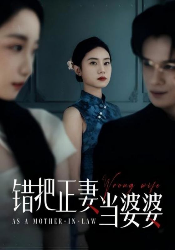 23494-错把正妻当婆婆（46集）张英杰&张耀尹-资源V站