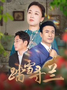踏雪寻兰（94集）-资源V站