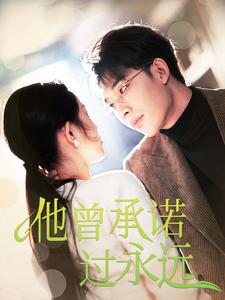 图片[1]-他曾承诺过永远（70集）-资源V站