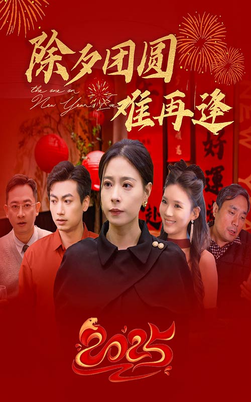 图片[1]-除夕团圆难再逢（54集）-资源V站