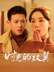 图片[1]-时光的双翼（94集）柴昊辰＆张诗媛-资源V站