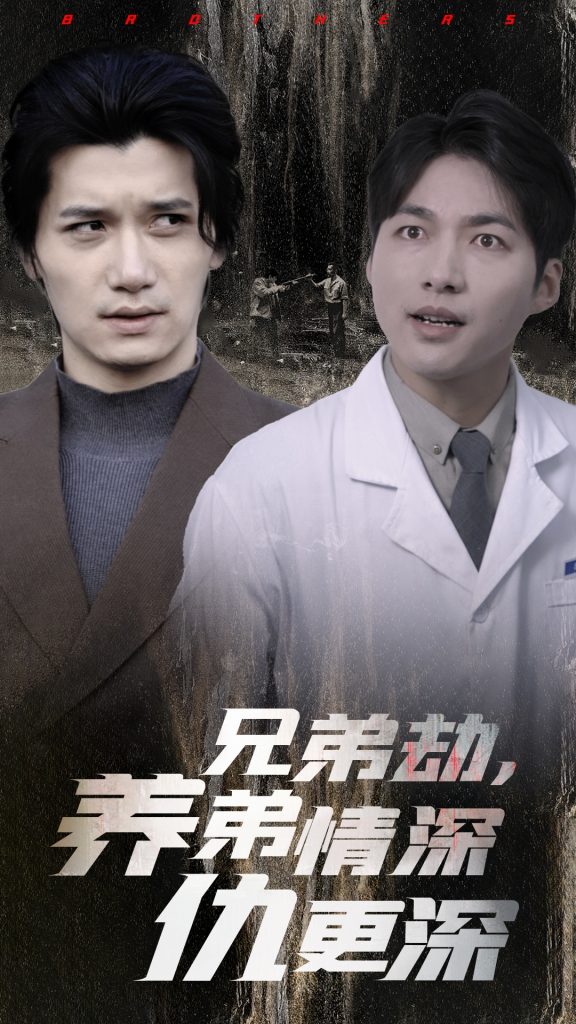 兄弟劫养弟情深仇更深（28集）-资源V站