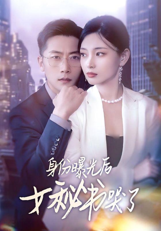 图片[1]-身份曝光后女秘书哭了（31集）刘雪君&张家川-资源V站