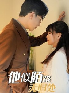 图片[1]-他似陌路无归处（30集）赵宏伟＆胡雪艺-资源V站