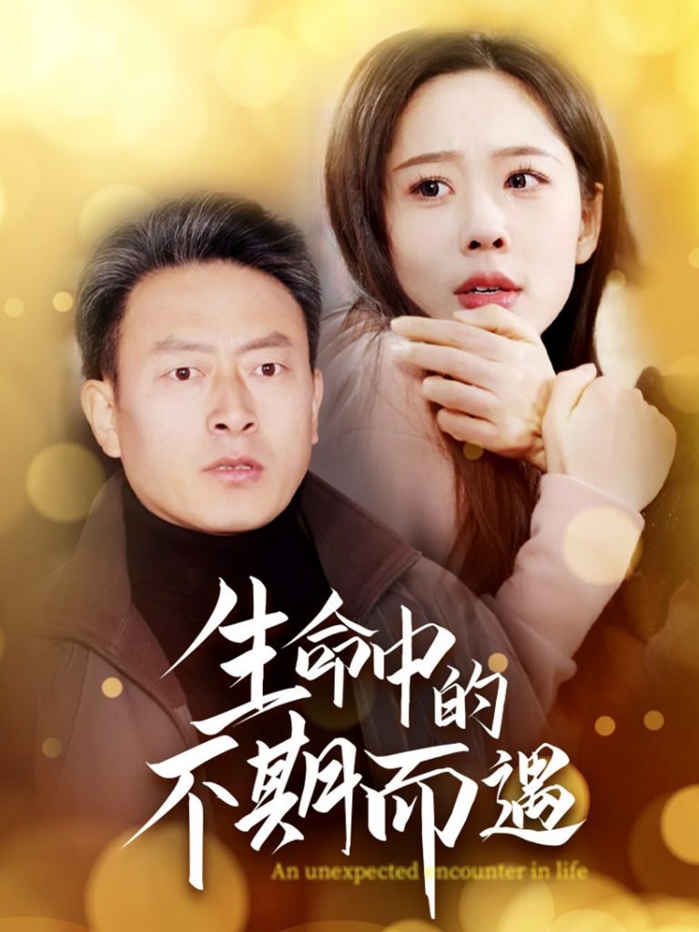 图片[1]-生命中的不期而遇（35集）-资源V站