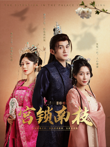 17813-宫锁南枝（31集）-资源V站