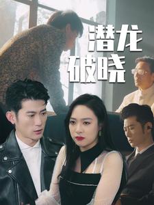 图片[1]-潜龙破晓（88集）-资源V站