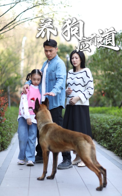 图片[1]-养狗应有道（60集）-资源V站