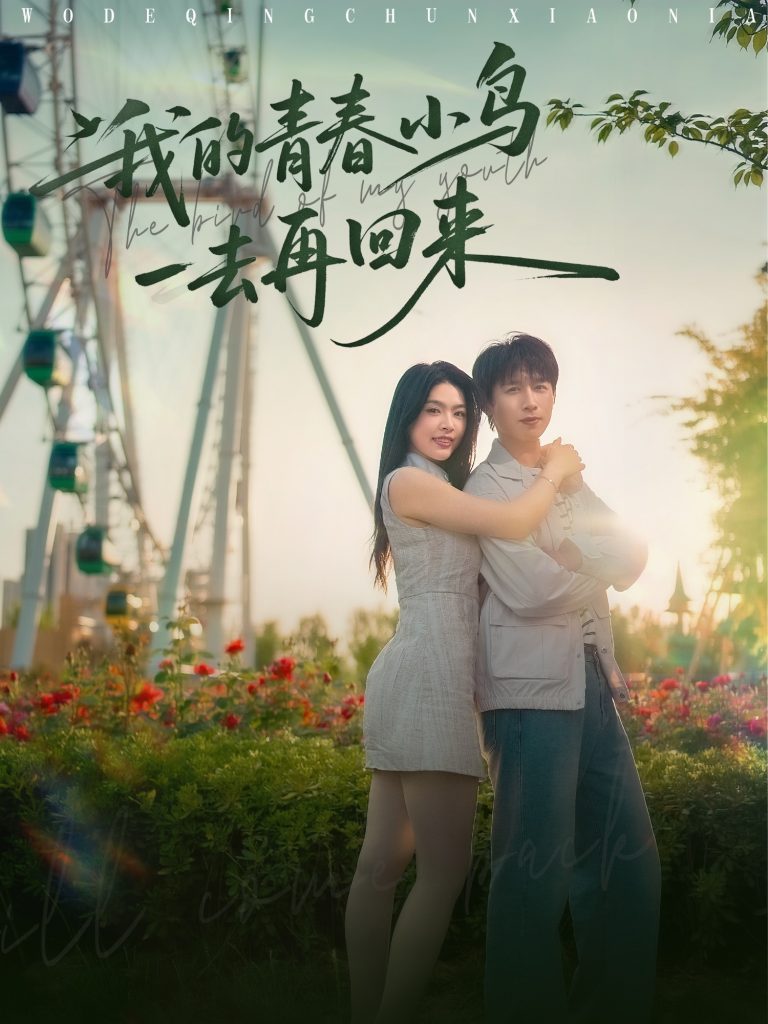 图片[1]-我的青春小鸟一去再回来（95集）严浩&刘彦君&瑞子&王希如-资源V站