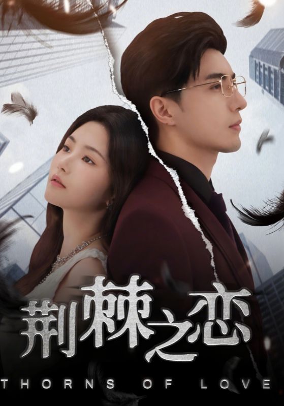 06.荆棘之恋（60集）李柏言&周妍坤-资源V站