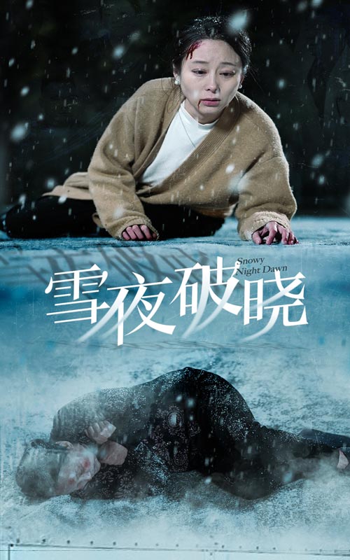 图片[1]-雪夜破晓（36集）-资源V站
