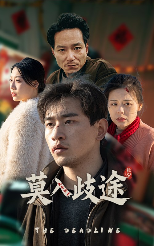 莫入歧途（30集）-资源V站