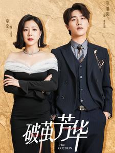 图片[1]-破茧芳华（80集）-资源V站
