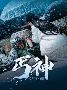 丐神（90集）-资源V站