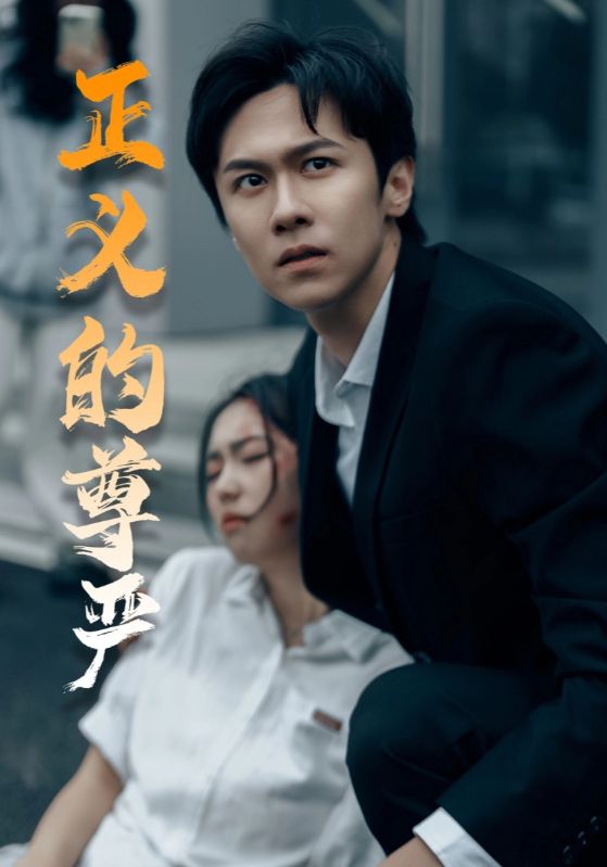 正义的尊严（35集）-资源V站