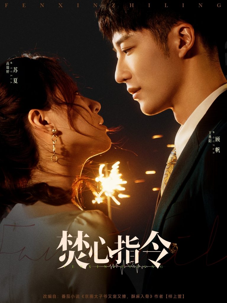 22547-焚心指令（80集）王燕阳&高瑞婷-资源V站