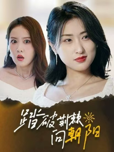 图片[1]-踏破荆棘向朝阳（80集）-资源V站