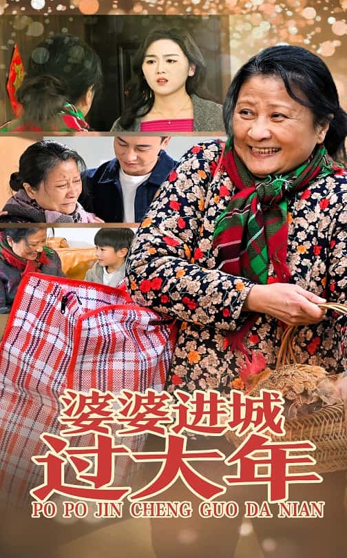 图片[1]-婆婆进城过大年（33集）-资源V站