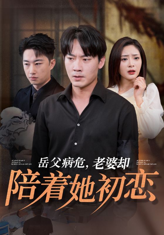 图片[1]-岳父病危老婆却陪着她初恋（31集）-资源V站