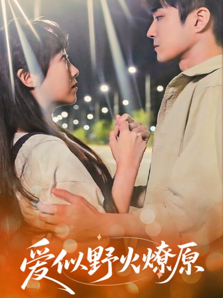 爱似野火燎原（47集）刘博文&景晓媚-资源V站
