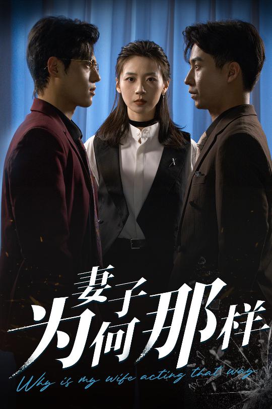 22.妻子为何那样（60集）杜星瑶&刘磊-资源V站