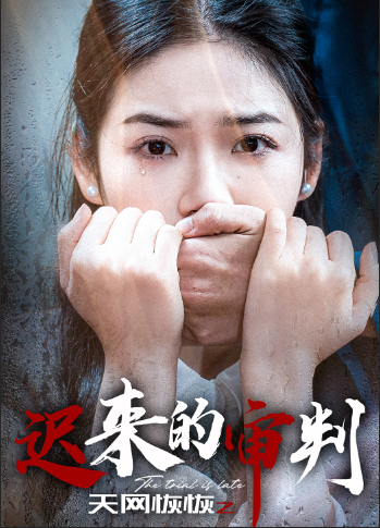 图片[1]-天网恢恢之迟来的审判（31集）李艺璇-资源V站